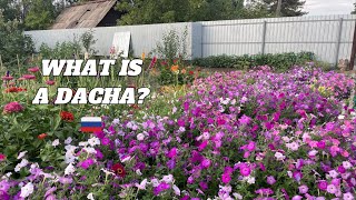 Unveiling the Dacha Lifestyle: Exploring Orenburg, Russia's Gardening Traditions