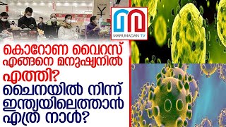 കൊറോണ വൈറസ് ചൈനയില്‍ നിന്ന് എപ്പോള്‍ ഇന്ത്യയിലെത്തും?  I  coronavirus