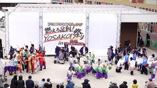 てんしゃばフェスタ踊り子隊 ③ @ 燃えろ足利！YOSAKOI祭り (アシコタウンあしかが) 2020-02-15T13:30