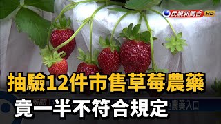 抽驗12件市售草莓農藥 竟一半不符合規定－民視台語新聞