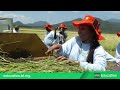 irri education overview