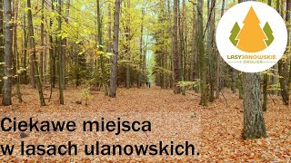 [napisy] Ciekawe miejsca w lasach ulanowskich