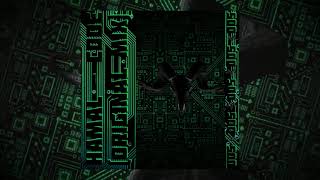 HAMAL - CODE (Original Mix)