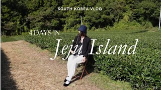 first time in jeju island (no car) |  traditional market, seogwipo city, tea garden, tangerine farm