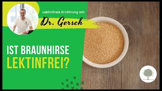 Ist Braunhirse auch lektinfrei?