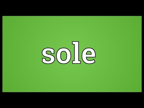 What does soles mean in English?