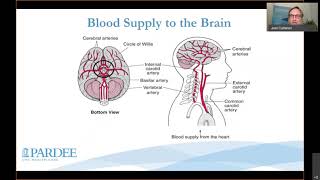 Stroke Seminar