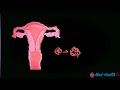 pregnancy tamil month 1 கர்ப்பம் மாதம் 1