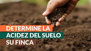 ¿Cómo regular el pH del suelo en plantaciones de café?