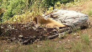 Walker County murder