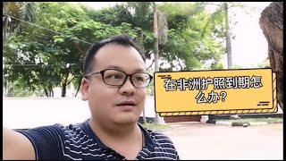 在非洲坦桑混的中国人，如果护照到期了，一定要回国去办理吗？