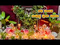 Tholi ekadasi pooja vidhanam | Tholi ekadasi pooja vidhanam 2024 telugu | Tholi ekadasi date 2024