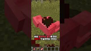 곧 나올 워든 한방컷 무기 체험하기 #minecraft