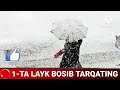 ШОШИЛИНЧ ФУКОРОЛАРГА ОГОХЛАНТИРИШ УЗБ ДА 24 ЯНВАРДАН ОБ ХАВО СОВУБ КЕТАДИ СРОЧНО КУРИНГ