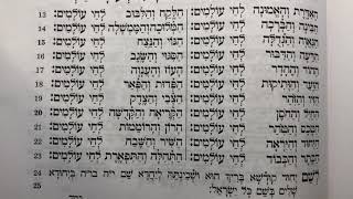 Haaderes vehaemunah sung #1 האדרת והאמונה Shabbos day davening