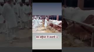 Dhan Satguru Uday Singh Ji #sribhainisahib #namdhari #satgurujagjitsinghji #namdharisikh#shortsvideo