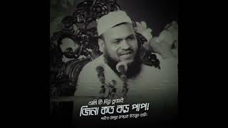 আমি কি দিয়ে বুঝাই, জিনা কত বড় পাপ! শাইখ আব্দুর রাজ্জাক ইউসুফ হাফিঃ