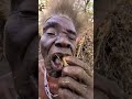 old man eating natural fruit 🍑 hadzabe tribe hadzabetribe africa culture bushman hadzatribe