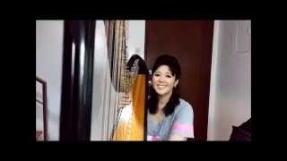 Love Me Like You Do by Ellie Goulding (Harp Acoustic Cover- Noelle Cassandra)
