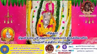 சித்தூர்  தென்கரை ஸ்ரீ மஹாராஜேஷ்வரர் திருக்கோவில் பங்குனி உத்திரப் பெருவிழா