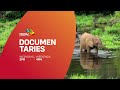 New TV Documentaries | Official Trailer