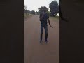 Makhadzi-Sugar sugar ft mampintsha (awesome moves)
