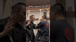 Daily Training for Wing Chun: Exploring Elbow Techniques and Skills - Master Tu Tengyao
