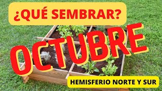 QUE SEMBRAR EN OCTUBRE \