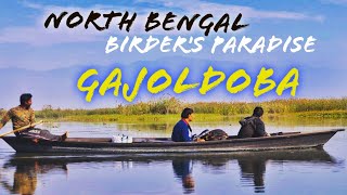 Gajoldoba: A Birder's Paradise in North Bengal | Boating in Teesta, Bird Photography, Picnic Spot |