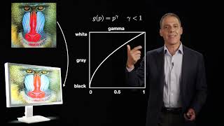 Image formation: pixels: displays