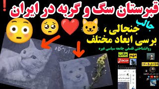 قبرستان سگ و گربه در ایران درباره جنجال فیلم جدید گورستان حیوانات برسی فکری مهم 🤯 🥺🔴🐱❓ #ایران