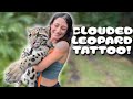 Leopard TATTOO at the ZOO!