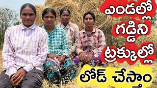 ఎండలోనే గడ్డి ట్రక్కులు నింపడం మా పని | Hard Work in Hot Summer | రైతు బడి