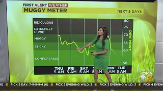 KDKA-TV Morning Forecast (7/21)