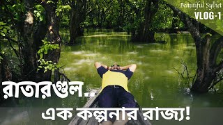 RATARGUL SWAMP FOREST, a Kingdom of Imagination!