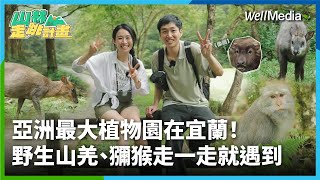 必遊宜蘭景點！亞洲最大植物園在這，野生山羌、獼猴大本營！超美生態森林園區 #福山植物園【山林走跳計畫】EP2 @WellMediaGlobal