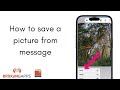 How To Save a Picture From a Text Message
