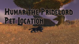 Humar the Pridelord - Hunter Pet Location Classic