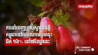 ការនាំចេញគ្រាប់ស្វាយចន្ទីកម្ពុជាទៅវផតណាមធ្លាក់ចុះ ជិត ១៦% នៅ៧ខែឆ្នាំនេះ