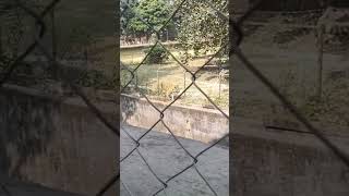 Alipur zoo Vlog 2023!Alipore zoo  Tour kolkata 2023 Full Details!আলিপুর চিড়িয়াখানার নতুন নিয়ম 2023?