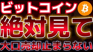 ビットコイン最も重要局面。これを割ると市場は崩壊に向かうのか！？