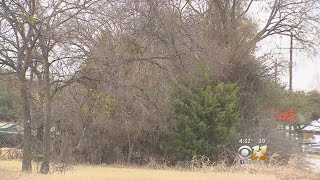 There Have Been Some Snow Flurries In Parker County