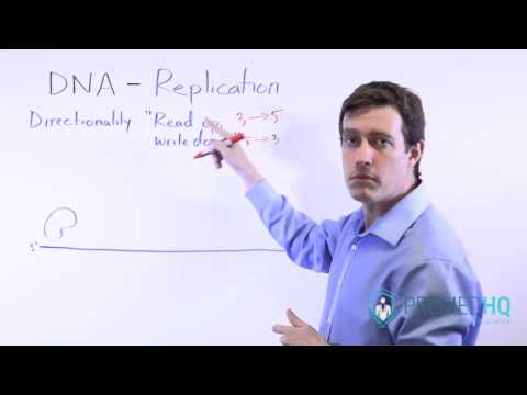 Is DNA read 3 to 5?