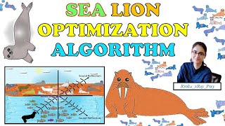 Sea Lion Optimization Algorithm || Step-By-Step || ~xRay Pixy