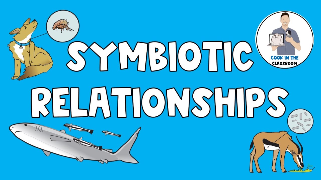 Symbiotic Relationships - YouTube