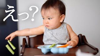 【離乳食】ご飯中にきゅうりスティックを出したらまさかの結果に…？！