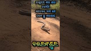 Papadahandi ru nabarangpur jiba rastare dekhile  OMG @Muexplorefan all odisha cycle traveller