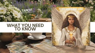 All 12 Zodiac Signs Tarot Reading: What You Need To Know