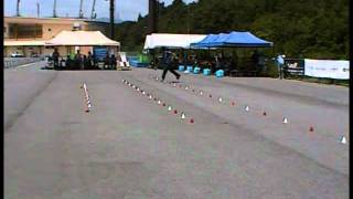 2010 CrystalPark Inline Festival FreeStyleSlalom くに