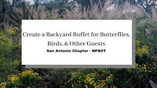 Look Who’s Coming to Dinner! Create a Backyard Buffet for Butterflies, Birds & Other Guests